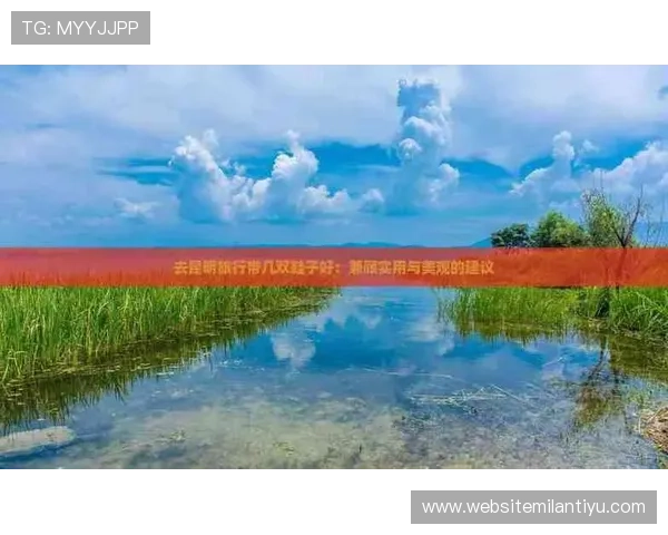 国际米兰官网购票注意事项：确保购票安全与避免常见陷阱的实用建议