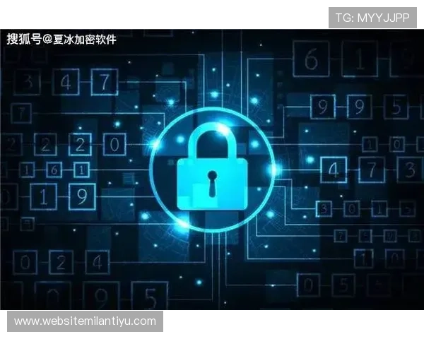 大满贯在线娱乐的安全措施和隐私保护策略保障玩家权益