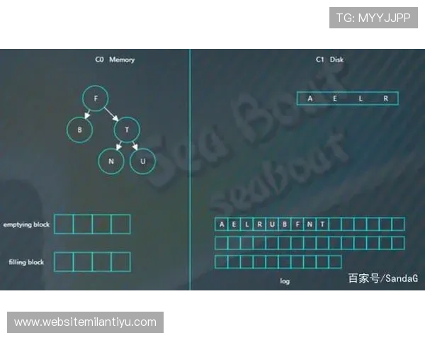 深入了解Kingbet滚球盘的玩法规则与实用技巧助你轻松获胜