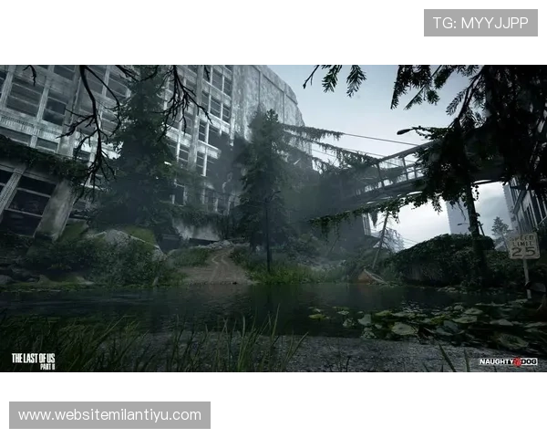 米兰app官网入口官方入口链接大全提供安全稳定的登录通道